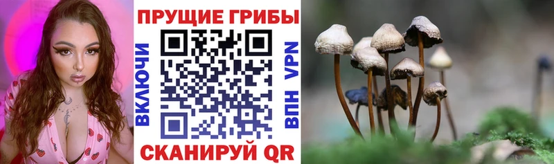 Псилоцибиновые грибы прущие грибы  Северодвинск 
