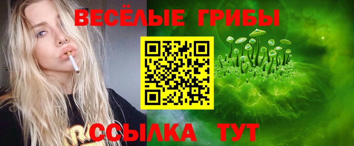 Псилоцибиновые грибы GOLDEN TEACHER Северодвинск