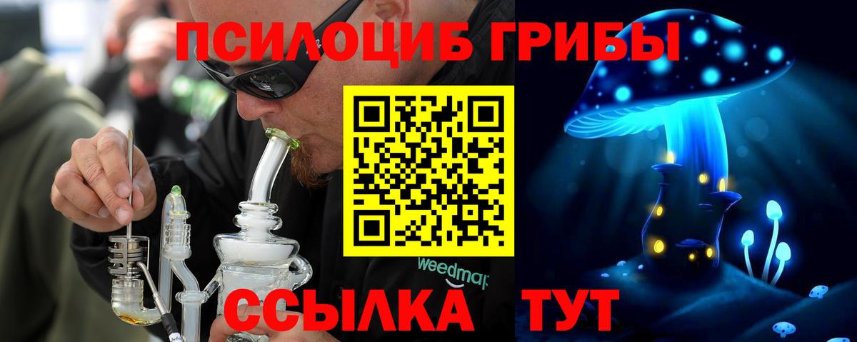 Северодвинск  купить   Вход с VPN  Псилоцибиновые грибы Magic Shrooms 